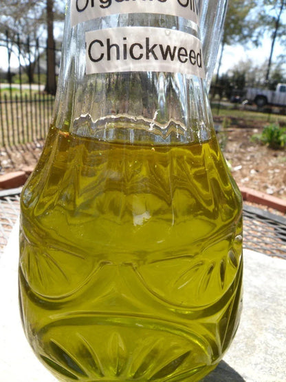 ORGANIC CHICKWEED SALVE 4OZ